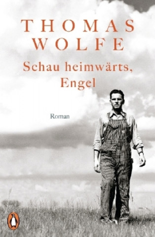 Book Schau heimwärts, Engel Thomas Wolfe