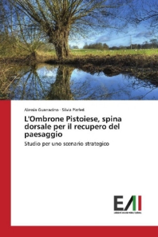 Könyv L'Ombrone Pistoiese, spina dorsale per il recupero del paesaggio Alessia Guarracino