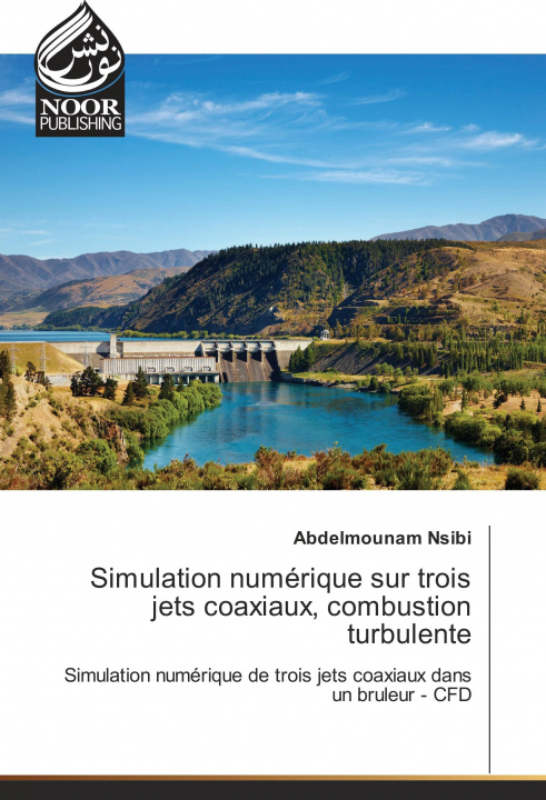 Книга Simulation numérique sur trois jets coaxiaux, combustion turbulente Abdelmounam Nsibi