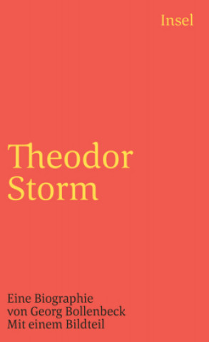 Kniha Theodor Storm Georg Bollenbeck