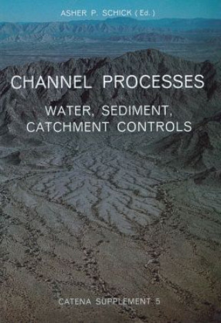 Knjiga Channel Processes Asher P. Schick