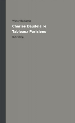 Knjiga Werke und Nachlaß. Kritische Gesamtausgabe Walter Benjamin