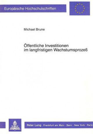 Kniha Oeffentliche Investitionen im langfristigen Wachstumsprozess Michael Brune