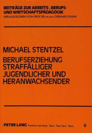 Kniha Berufserziehung straffaelliger Jugendlicher und Heranwachsender Michael Stentzel