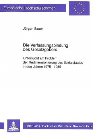 Kniha Die Verfassungsbindung des Gesetzgebers Jürgen Sauer