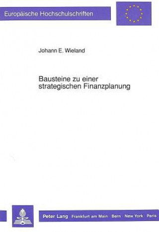 Kniha Bausteine zu einer strategischen Finanzplanung Johann E. Wieland