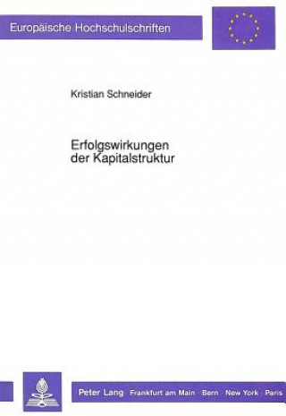 Kniha Erfolgswirkungen der Kapitalstruktur Kristian Schneider