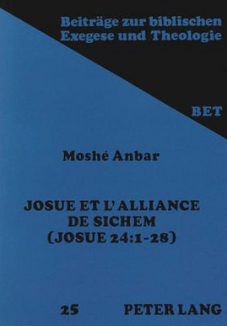 Carte Josue et l'alliance de Sichem Moshe Anbar
