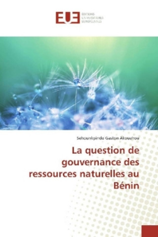 Könyv La question de gouvernance des ressources naturelles au Bénin Sehounkpindo Gaston Akouehou