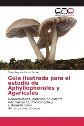 Buch Guía ilustrada para el estudio de Aphyllophorales y Agaricales César Augusto Pinzón Osorio