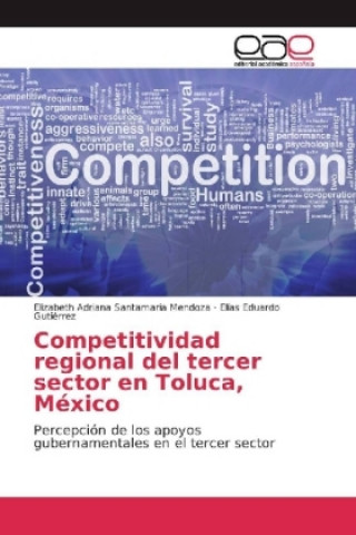 Könyv Competitividad regional del tercer sector en Toluca, México Elizabeth Adriana Santamaria Mendoza