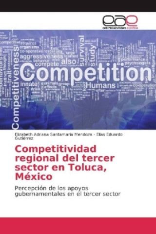 Kniha Competitividad regional del tercer sector en Toluca, México Elizabeth Adriana Santamaria Mendoza