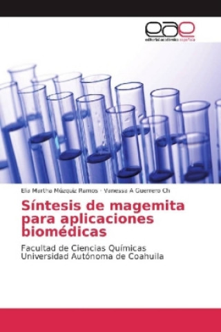 Książka Síntesis de magemita para aplicaciones biomédicas Elia Martha Múzquiz Ramos