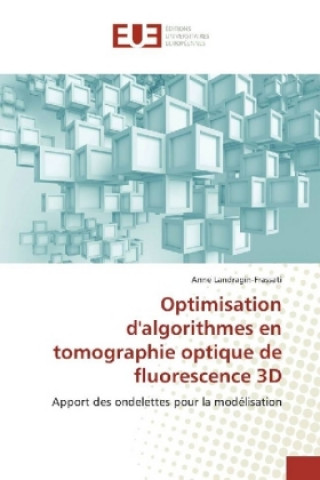 Libro Optimisation d'algorithmes en tomographie optique de fluorescence 3D Anne Landragin-Frassati