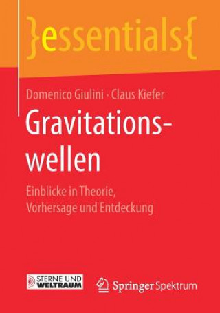 Kniha Gravitationswellen Domenico Giulini