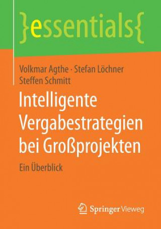 Kniha Intelligente Vergabestrategien bei Grossprojekten Volkmar Agthe