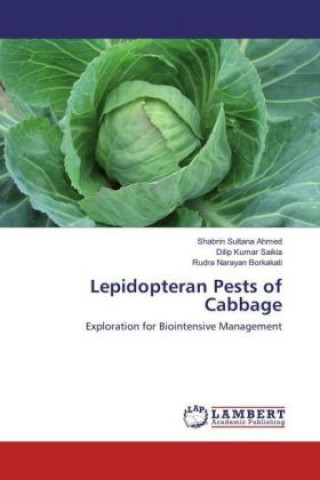 Kniha Lepidopteran Pests of Cabbage Shabrin Sultana Ahmed