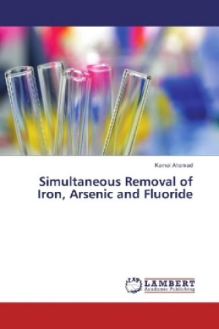 Könyv Simultaneous Removal of Iron, Arsenic and Fluoride Kamal Ahamad