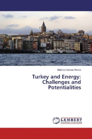 Kniha Turkey and Energy: Challenges and Potentialities Mafalda Damas Revés