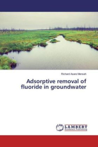Boek Adsorptive removal of fluoride in groundwater Richard Asare Mensah