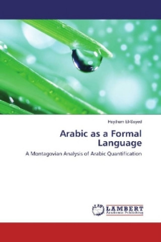 Kniha Arabic as a Formal Language Haytham El-Sayed
