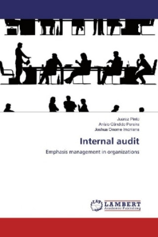 Knjiga Internal audit Juarez Pinto