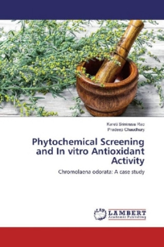 Könyv Phytochemical Screening and In vitro Antioxidant Activity Kareti Srinivasa Rao