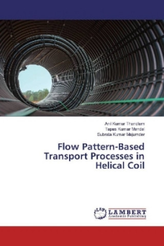 Buch Flow Pattern-Based Transport Processes in Helical Coil Anil Kumar Thandlam