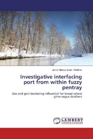 Książka Investigative interfacing port from within fuzzy pentray Zahid Hafeez Imam Khokhar