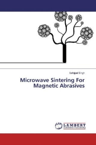 Könyv Microwave Sintering For Magnetic Abrasives Sehijpal Singh