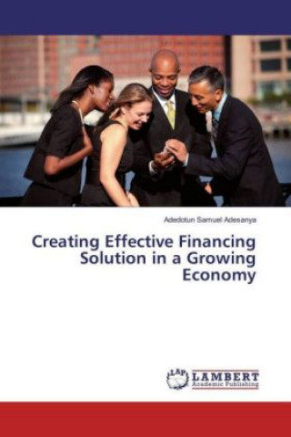 Könyv Creating Effective Financing Solution in a Growing Economy Adedotun Samuel Adesanya