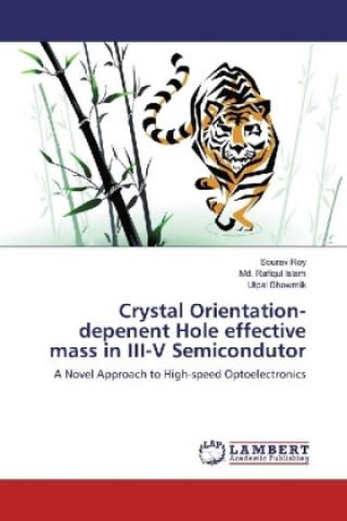 Knjiga Crystal Orientation-depenent Hole effective mass in III-V Semicondutor Sourav Roy