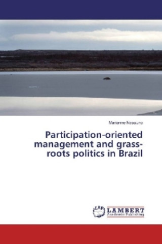 Книга Participation-oriented management and grass-roots politics in Brazil Marianne Nassuno