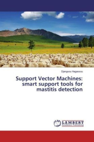 Könyv Support Vector Machines: smart support tools for mastitis detection Djangsou Hagassou