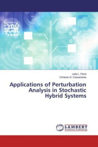 Könyv Applications of Perturbation Analysis in Stochastic Hybrid Systems Julia L. Fleck