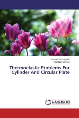 Könyv Thermoelastic Problems For Cylinder And Circular Plate Namdeo Khobragade