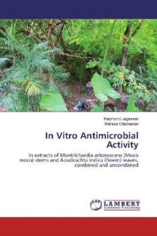 Könyv In Vitro Antimicrobial Activity Raymond Jagessar