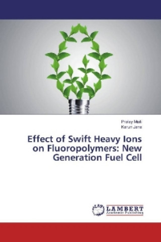 Książka Effect of Swift Heavy Ions on Fluoropolymers: New Generation Fuel Cell Pralay Maiti