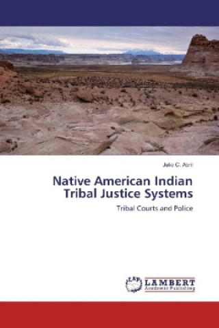 Book Native American Indian Tribal Justice Systems Julie C. Abril