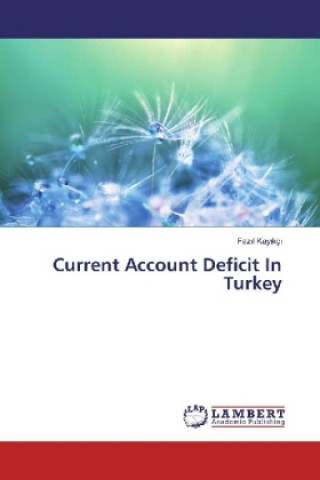 Kniha Current Account Deficit In Turkey Fazil Kayikçi