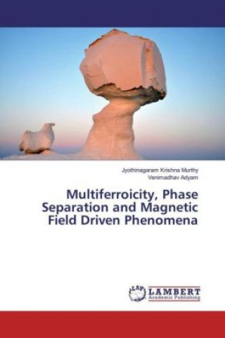 Carte Multiferroicity, Phase Separation and Magnetic Field Driven Phenomena Jyothinagaram Krishna Murthy