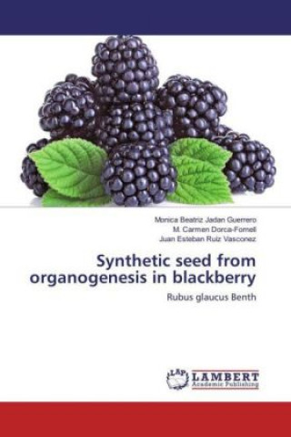 Kniha Synthetic seed from organogenesis in blackberry Monica Beatriz Jadan Guerrero