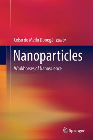 Buch Nanoparticles Celso de Mello Donegá