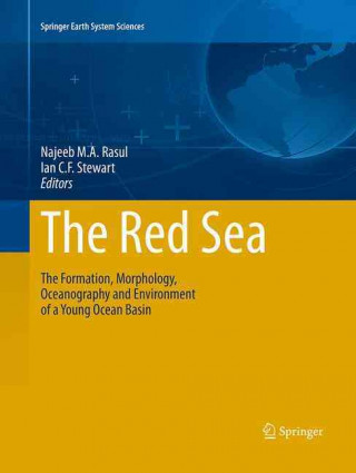 Kniha Red Sea Najeeb M.A. Rasul