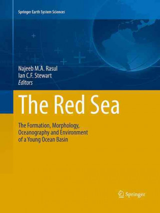 Książka Red Sea Najeeb M.A. Rasul