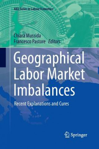 Könyv Geographical Labor Market Imbalances Chiara Mussida