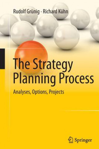 Knjiga Strategy Planning Process Rudolf Grunig
