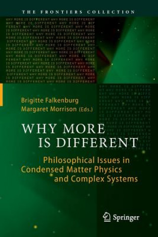 Carte Why More Is Different Brigitte Falkenburg