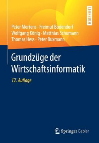 Könyv Grundzuge der Wirtschaftsinformatik Peter Mertens