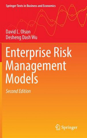 Kniha Enterprise Risk Management Models David L. Olson